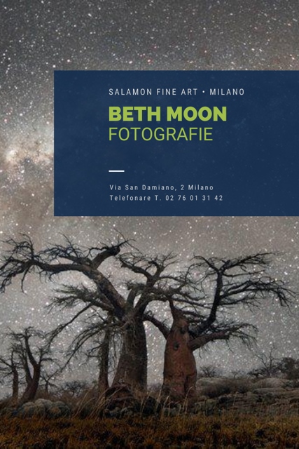 Beth Moon – Alberi Secolari del Pianeta